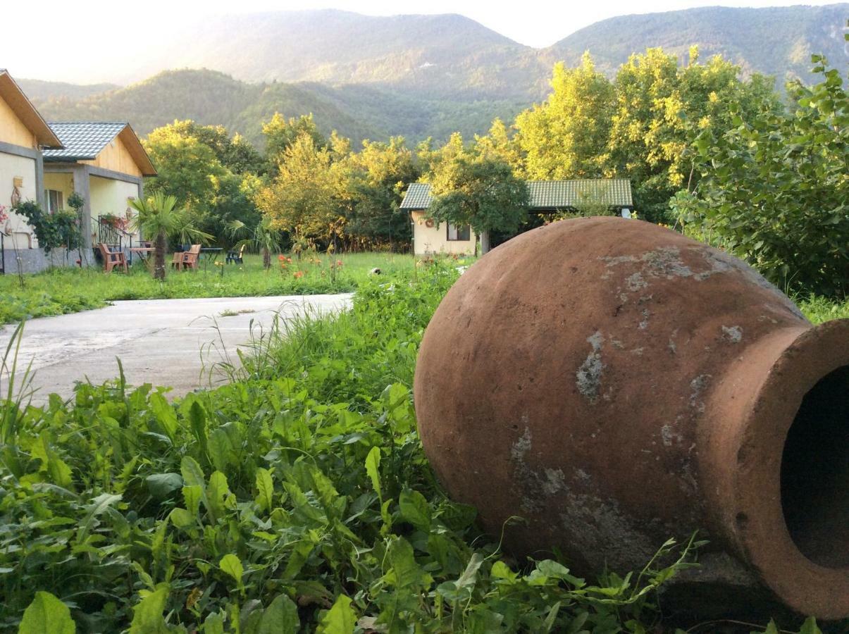 Taripiri Βίλα Ambrolauri Εξωτερικό φωτογραφία